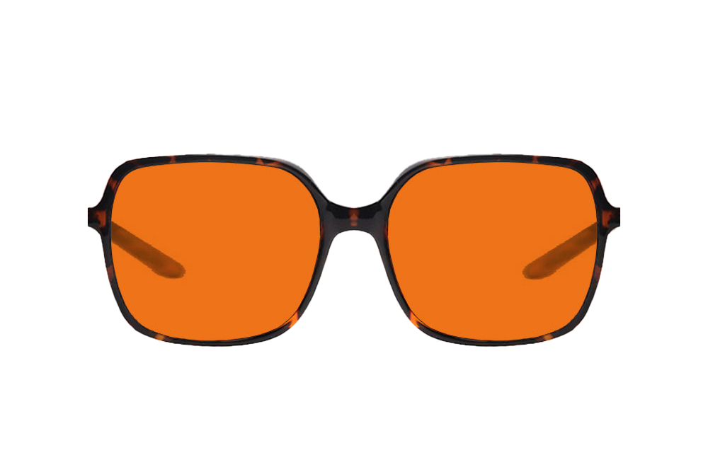 Blaire Blue Light Blocking Glasses Readers Front View
