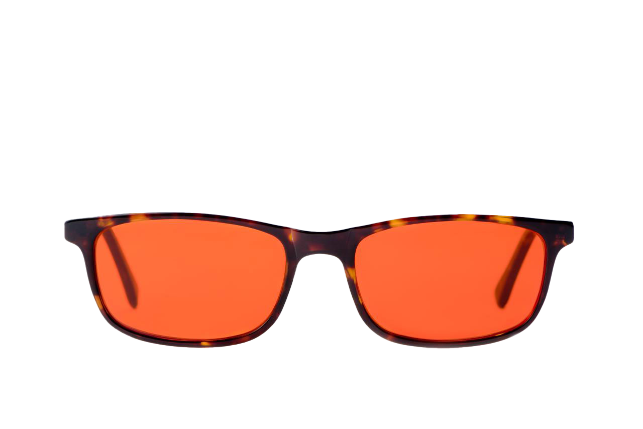 Tortoise Shell Blue Light Blocking Glasses Readers Front View