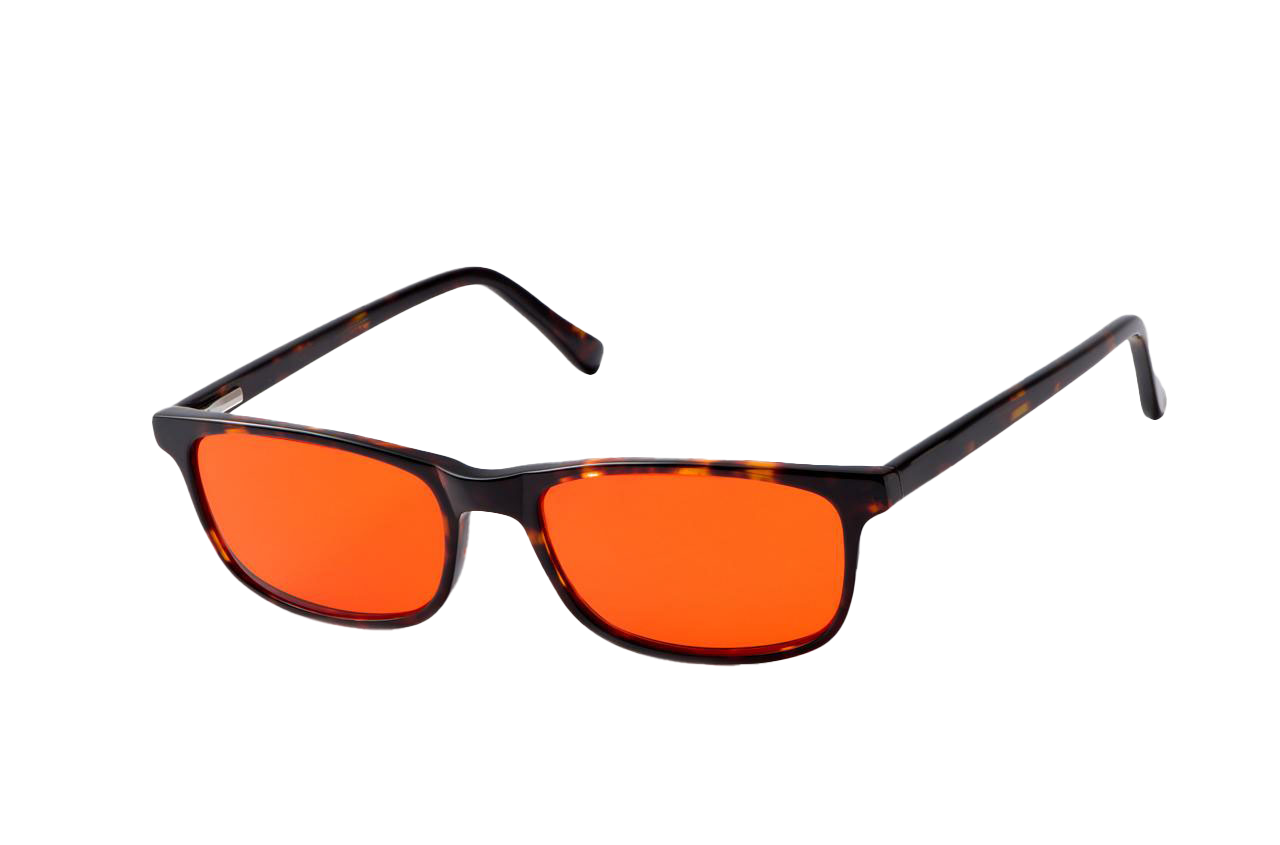 Tortoise Shell Blue Light Blocking Glasses Readers Angled View