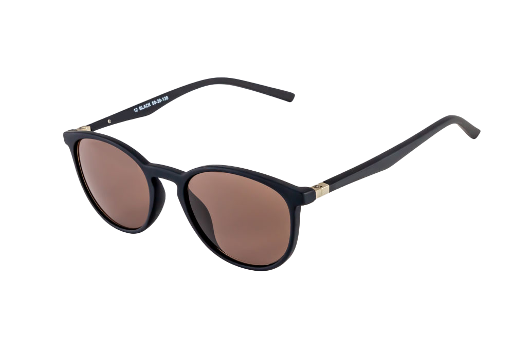 Echo Sunglasses (Brown) Angled View